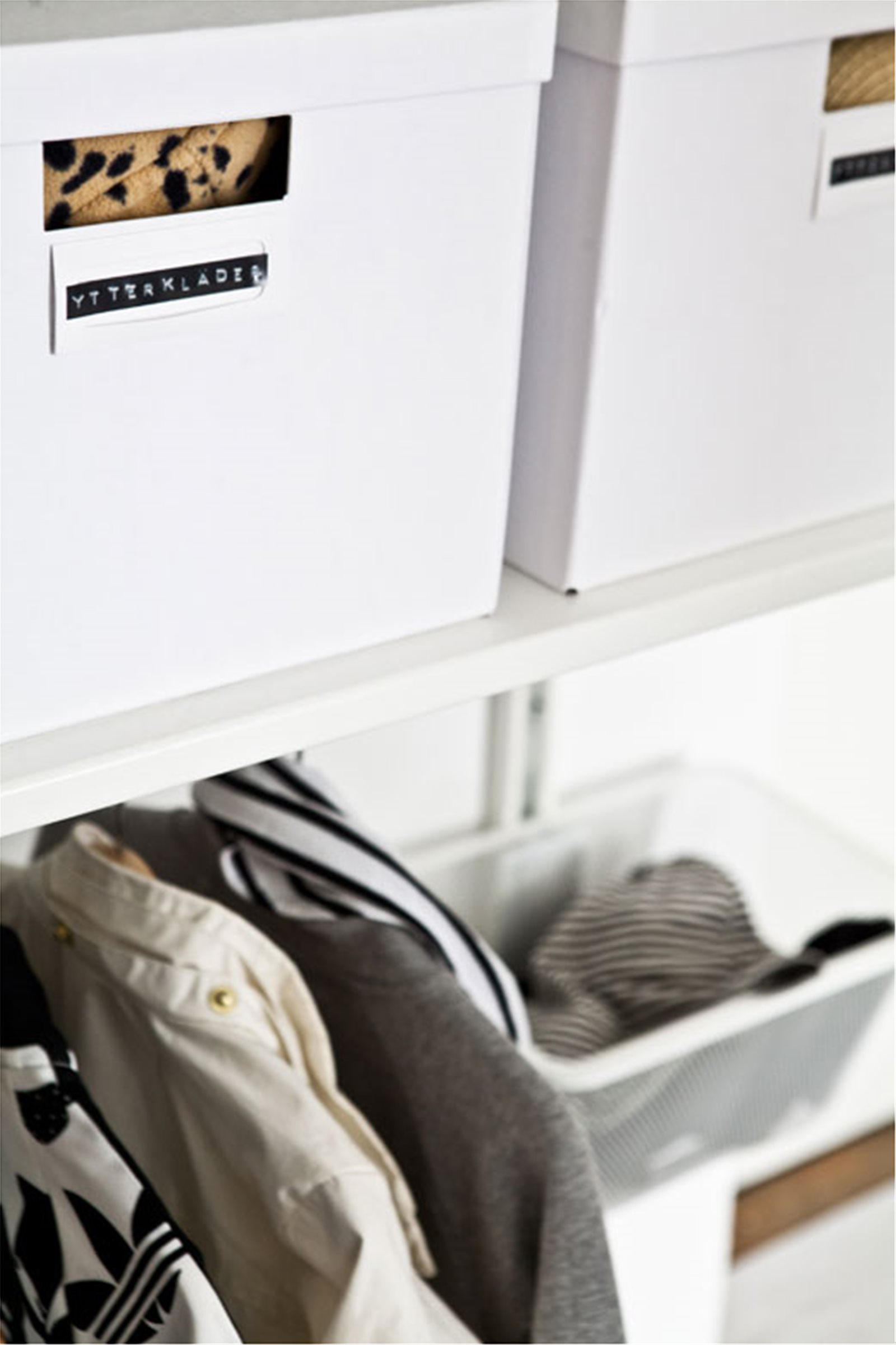 Display Image